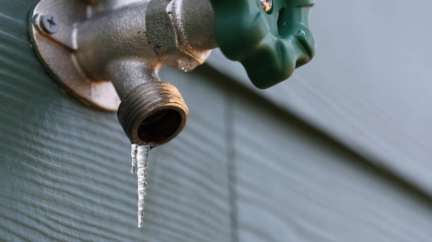Best Emergency Plumbing Repair  in Butler Beach, FL